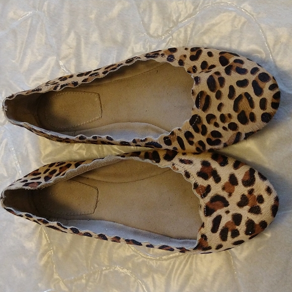 leopard print pumps dsw
